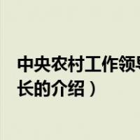 中央农村工作领导小组组长（关于中央农村工作领导小组组长的介绍）