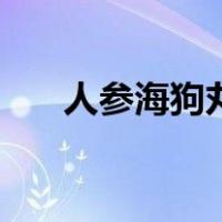 人参海狗丸（关于人参海狗丸的介绍）
