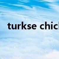 turkse chick（关于turkse chick的介绍）