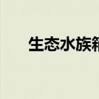 生态水族箱（关于生态水族箱的介绍）