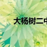 大杨树二中（关于大杨树二中的介绍）