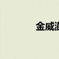 金威澎（关于金威澎的介绍）