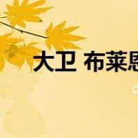 大卫 布莱恩（关于大卫 布莱恩的介绍）