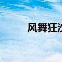 风舞狂沙（关于风舞狂沙的介绍）