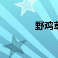 野鸡草（关于野鸡草的介绍）