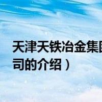 天津天铁冶金集团有限公司（关于天津天铁冶金集团有限公司的介绍）