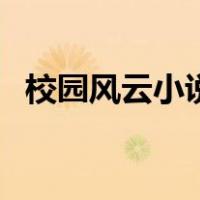 校园风云小说（关于校园风云小说的介绍）
