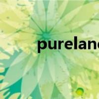 pureland（关于pureland的介绍）