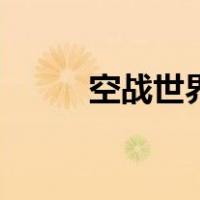 空战世界（关于空战世界的介绍）