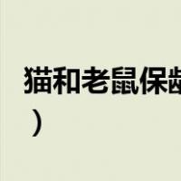 猫和老鼠保龄球（关于猫和老鼠保龄球的介绍）