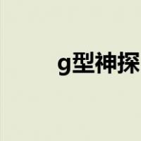 g型神探2（关于g型神探2的介绍）