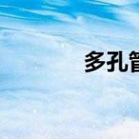 多孔管（关于多孔管的介绍）