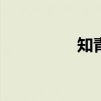 知青（关于知青的介绍）