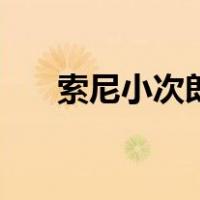 索尼小次郎（关于索尼小次郎的介绍）