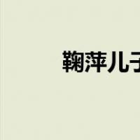 鞠萍儿子（关于鞠萍儿子的介绍）
