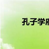 孔子学府（关于孔子学府的介绍）