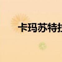 卡玛苏特拉（关于卡玛苏特拉的介绍）