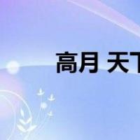 高月 天下（关于高月 天下的介绍）