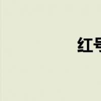 红号（关于红号的介绍）