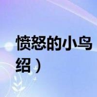 愤怒的小鸟 电影（关于愤怒的小鸟 电影的介绍）