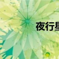 夜行星（关于夜行星的介绍）