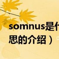 somnus是什么意思（关于somnus是什么意思的介绍）