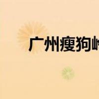 广州瘦狗岭（关于广州瘦狗岭的介绍）