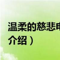 温柔的慈悲电视剧（关于温柔的慈悲电视剧的介绍）