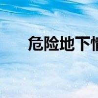 危险地下情（关于危险地下情的介绍）