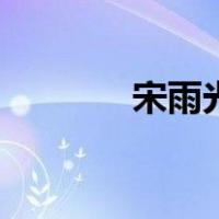 宋雨光（关于宋雨光的介绍）