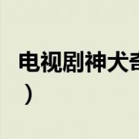 电视剧神犬奇兵（关于电视剧神犬奇兵的介绍）