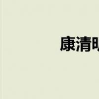 康清明（关于康清明的介绍）