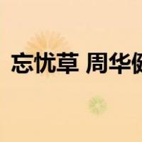 忘忧草 周华健（关于忘忧草 周华健的介绍）