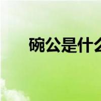 碗公是什么（关于碗公是什么的介绍）