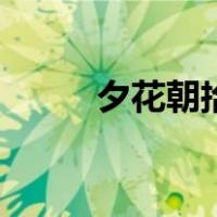 夕花朝拾（关于夕花朝拾的介绍）