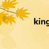 kingj（关于kingj的介绍）