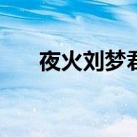 夜火刘梦君（关于夜火刘梦君的介绍）
