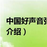 中国好声音张玉霞（关于中国好声音张玉霞的介绍）