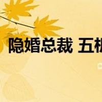 隐婚总裁 五枂（关于隐婚总裁 五枂的介绍）