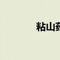 粘山药（关于粘山药的介绍）
