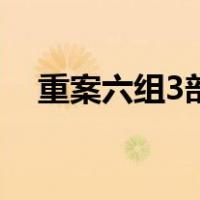 重案六组3部（关于重案六组3部的介绍）