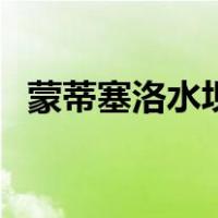 蒙蒂塞洛水坝（关于蒙蒂塞洛水坝的介绍）