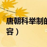 唐朝科举制的考试内容（唐代科举制考试的内容）