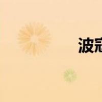 波寇（关于波寇的介绍）