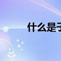什么是子叶和真叶（什么是子叶）