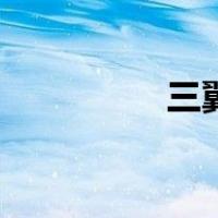 三翼（关于三翼的介绍）