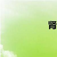 肾四味李可（肾四味）