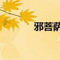 邪菩萨txt免费下载（邪菩萨）