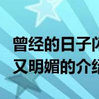 曾经的日子闪亮又明媚（关于曾经的日子闪亮又明媚的介绍）
