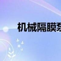 机械隔膜泵（关于机械隔膜泵的介绍）